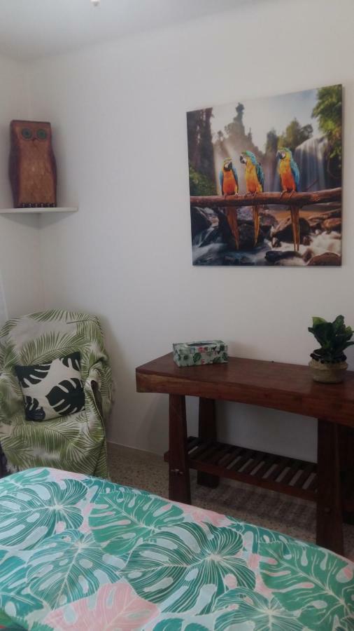 Saint-Raphaël Appartement F3 Valescure מראה חיצוני תמונה